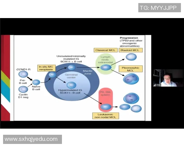 广州乒乓球队团队协作模式解析与其他队伍的比较研究 广州乒乓球队团队协作模式解析与其他队伍的比较研究