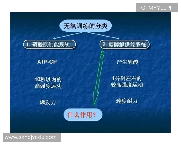南京羽毛球队耐力对比深度解析与训练策略探讨 南京羽毛球队耐力对比深度解析与训练策略探讨