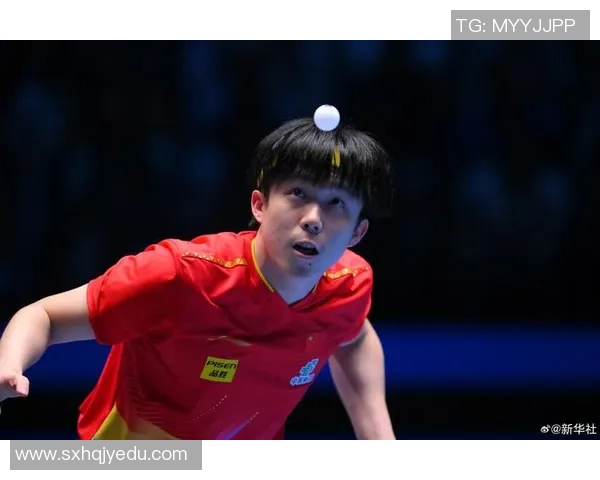 北京乒乓球队在世界杯中的技术表现分析与点评