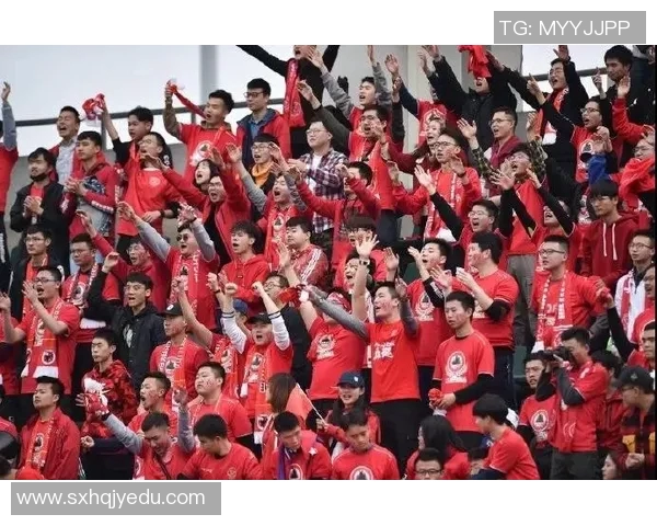 成都排球队团队协作引发热议球迷对战术配合与球员默契的不同看法