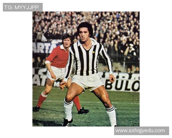 足球明星培根的传奇故事与他在绿茵场上的辉煌成就解析