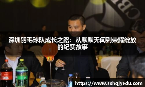深圳羽毛球队成长之路：从默默无闻到荣耀绽放的纪实故事